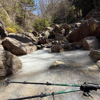 凍ってます
スケスケ