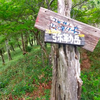 弥勒岳。前回12月に来た時はここで折り返した。