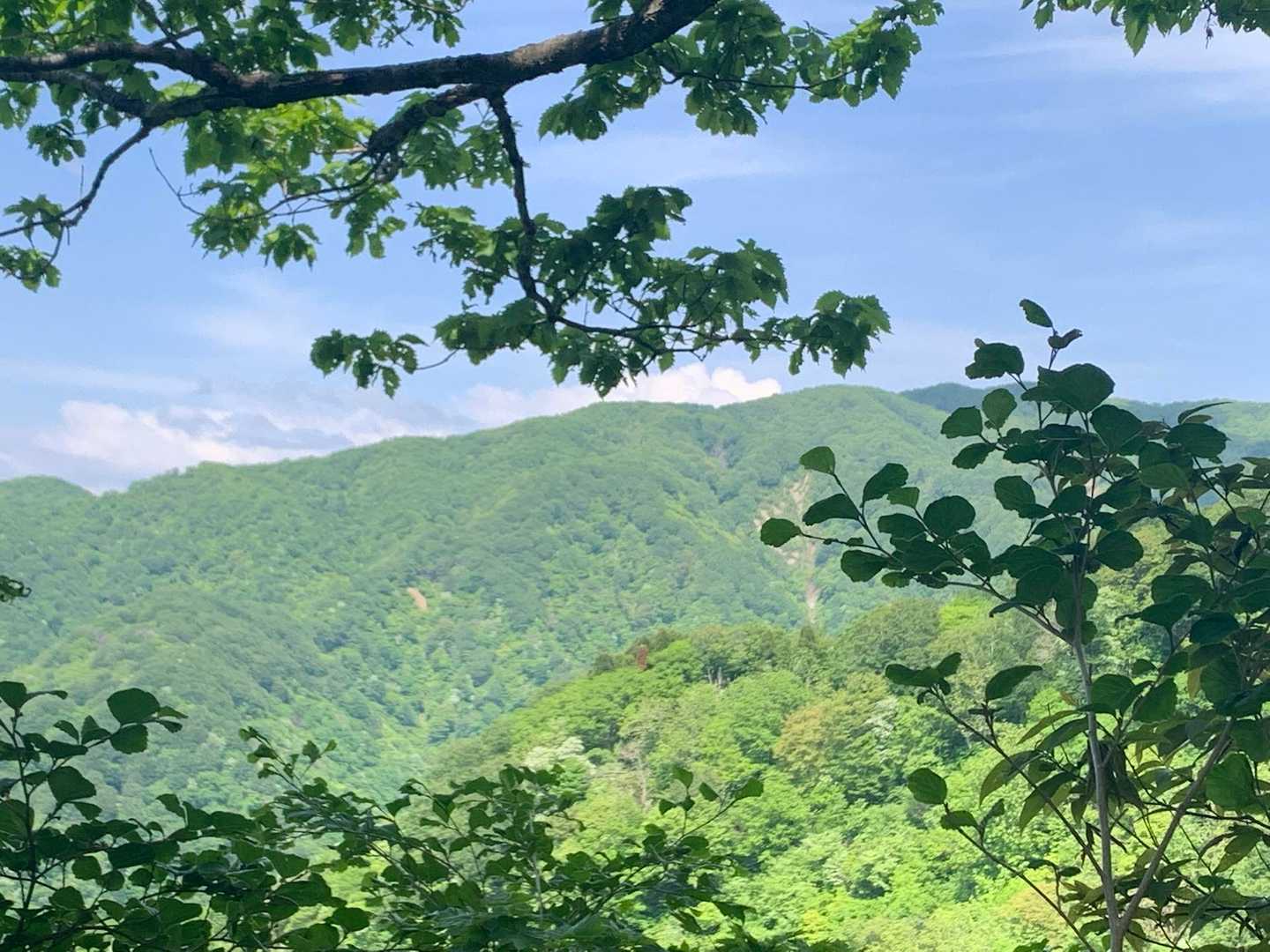 登ってきた松平山が見えます