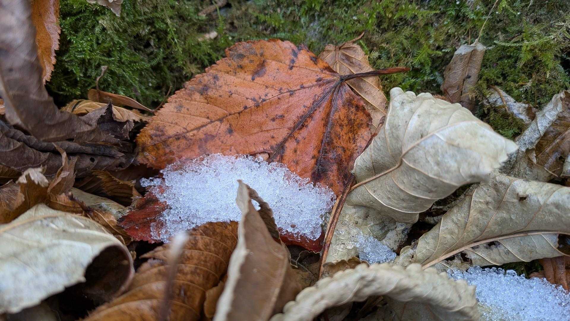雪、微かに残る中の登山