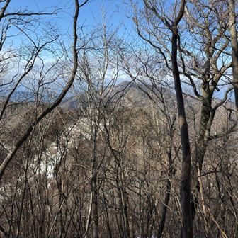 下る途中で祇園山が木々の間から。