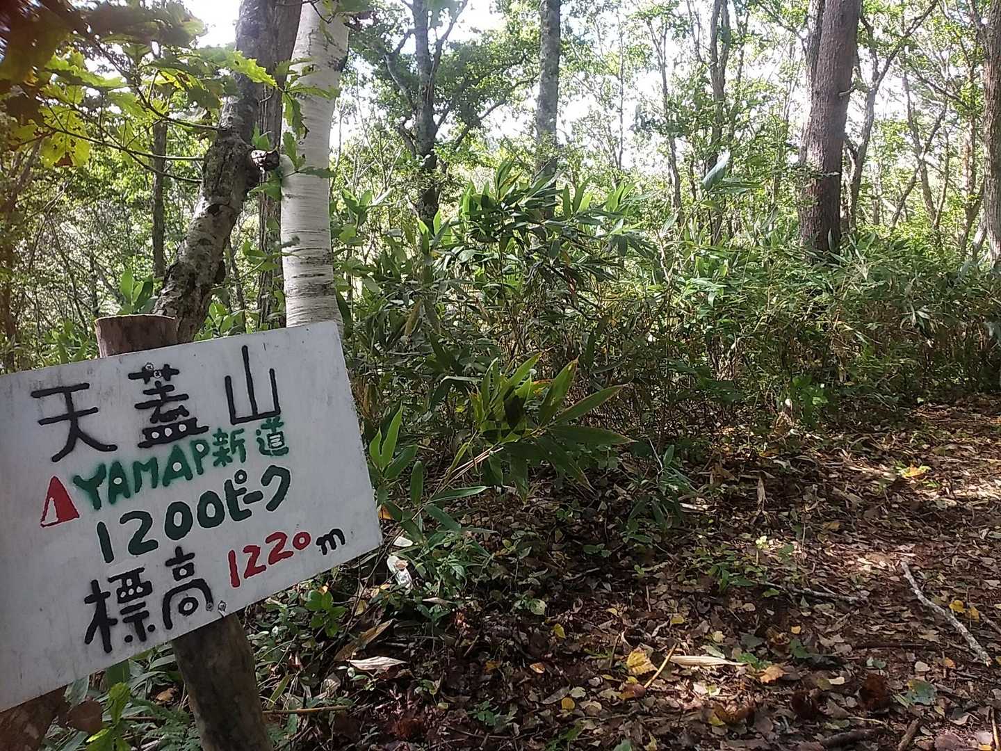 アップダウンあり
ヤマップ看板に癒されて