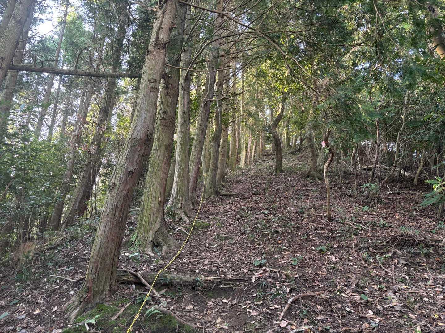 どこまでも見通せる急登🤣
精神的に来るネ〜🌀