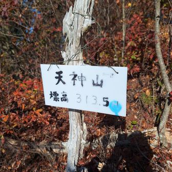 天神山山頂