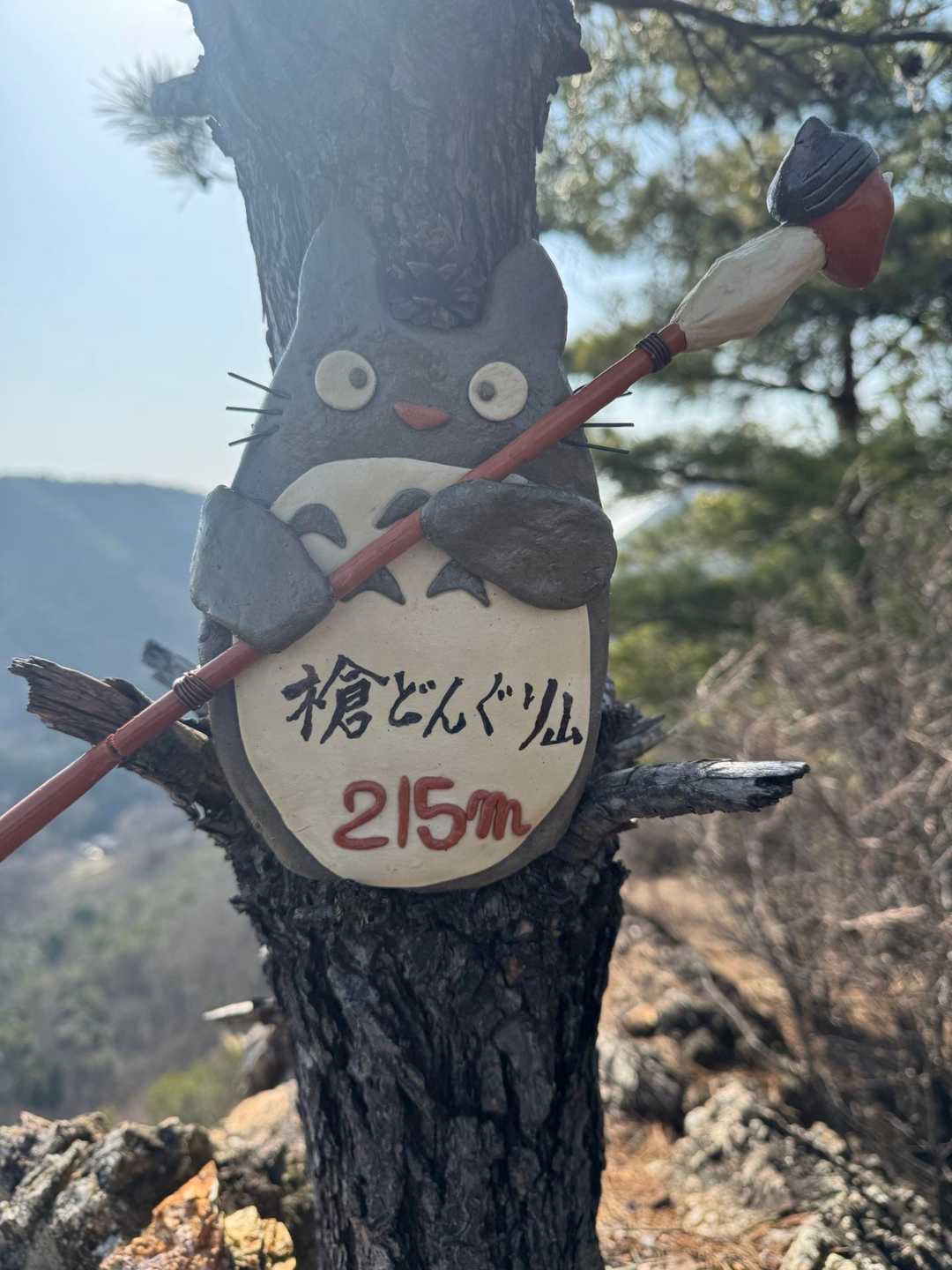 芥見権現山-老洞峠-各務原権現山-東登山口 周回コースの写真
