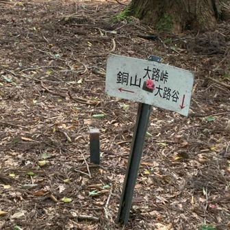 大路峠、心地よい風が通る。