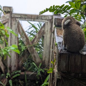真っ青な海が見えるらしい展望台🫡真っ白😊