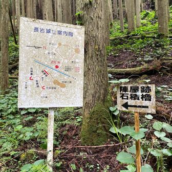 一回下山したけど、石積櫓が見れなかったんで登り返す