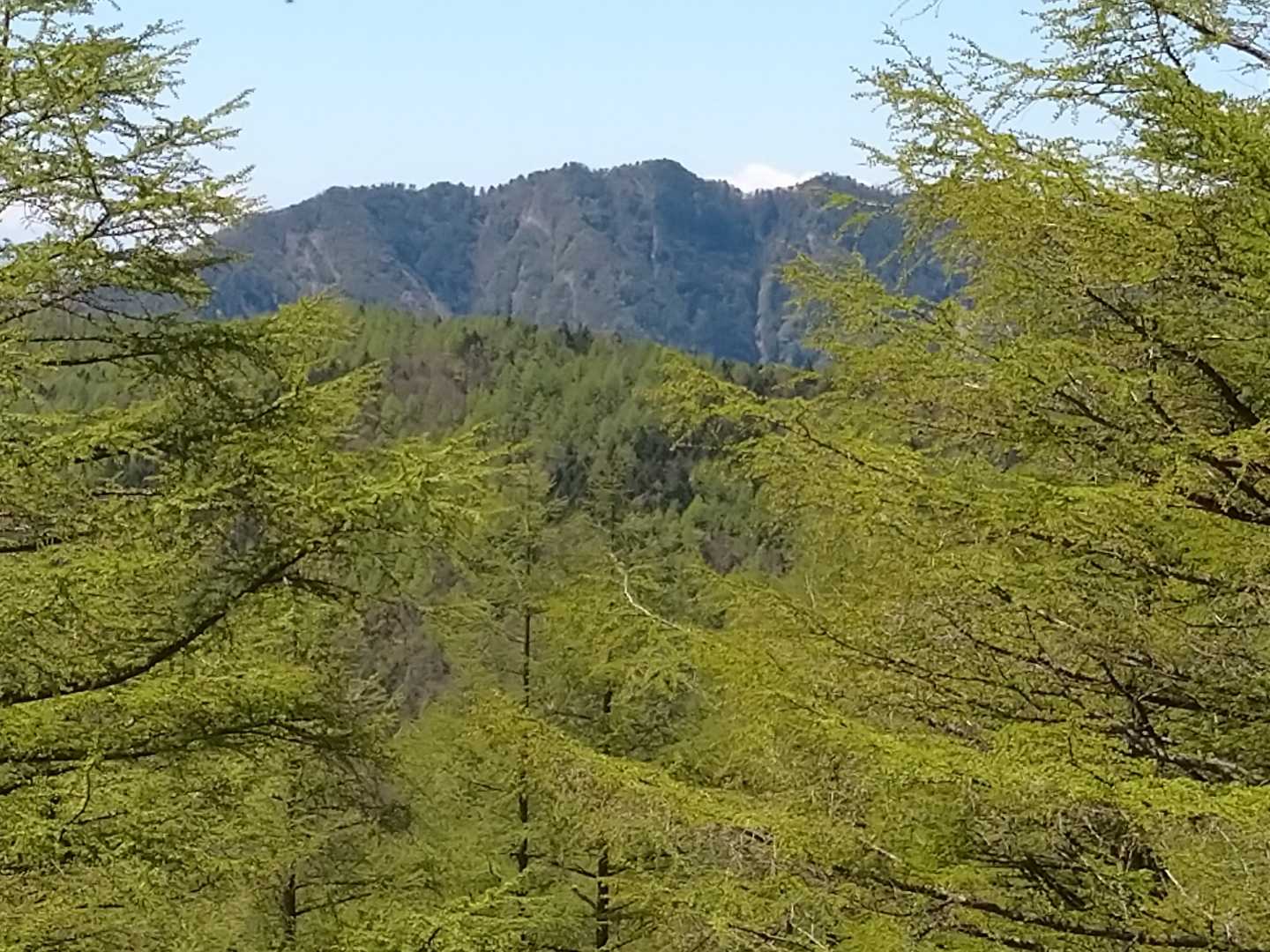造林小屋跡-和名倉山 往復コースの写真
