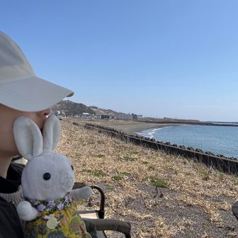 うななはん