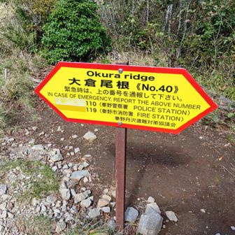 この看板を見ると塔ノ岳がもうすぐだと実感します。