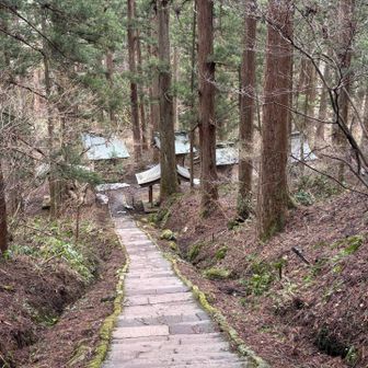 初っ端から下り