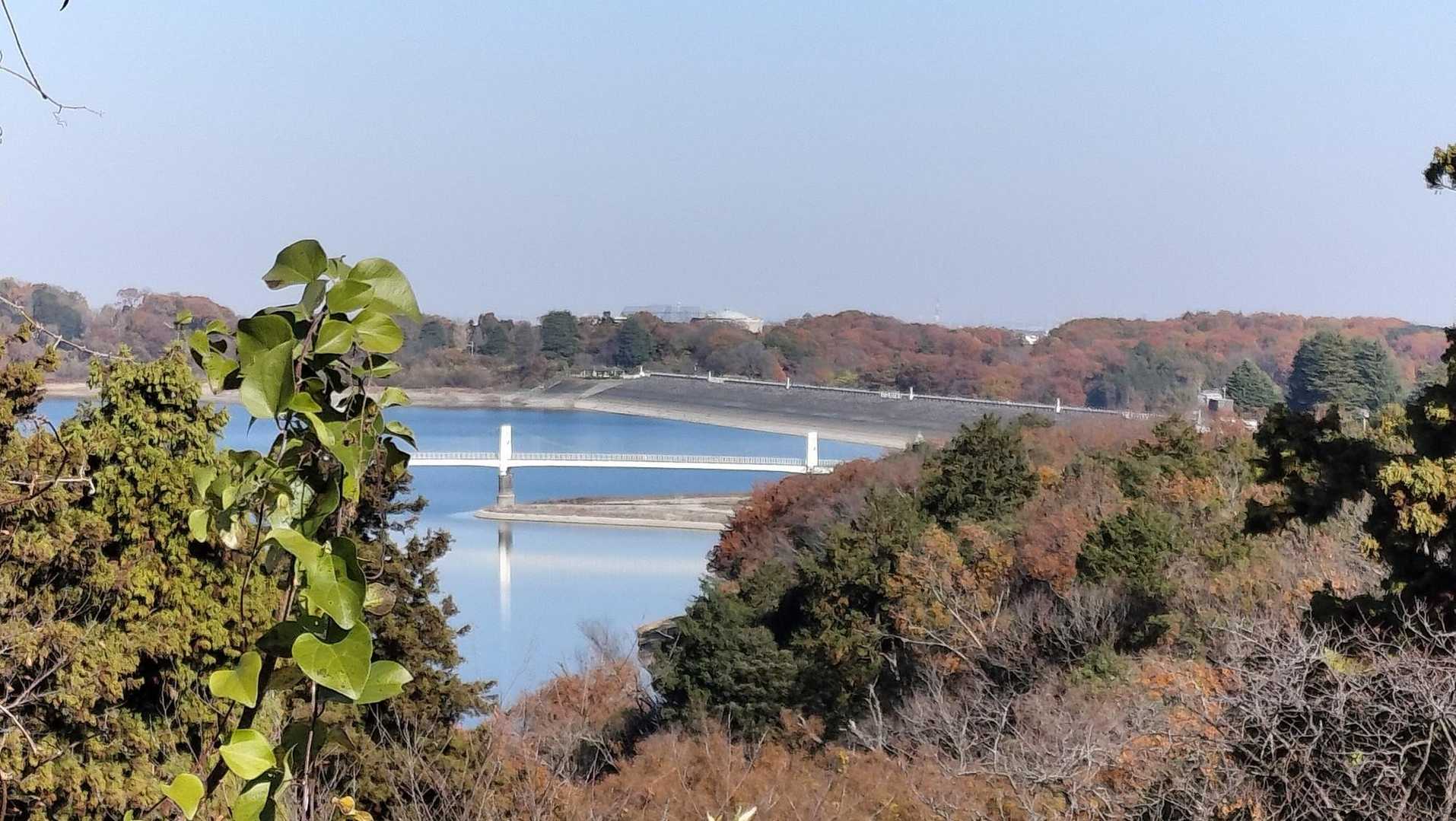反対側に狭山湖も少し見えました👍️
