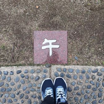 今年の干支　🐎