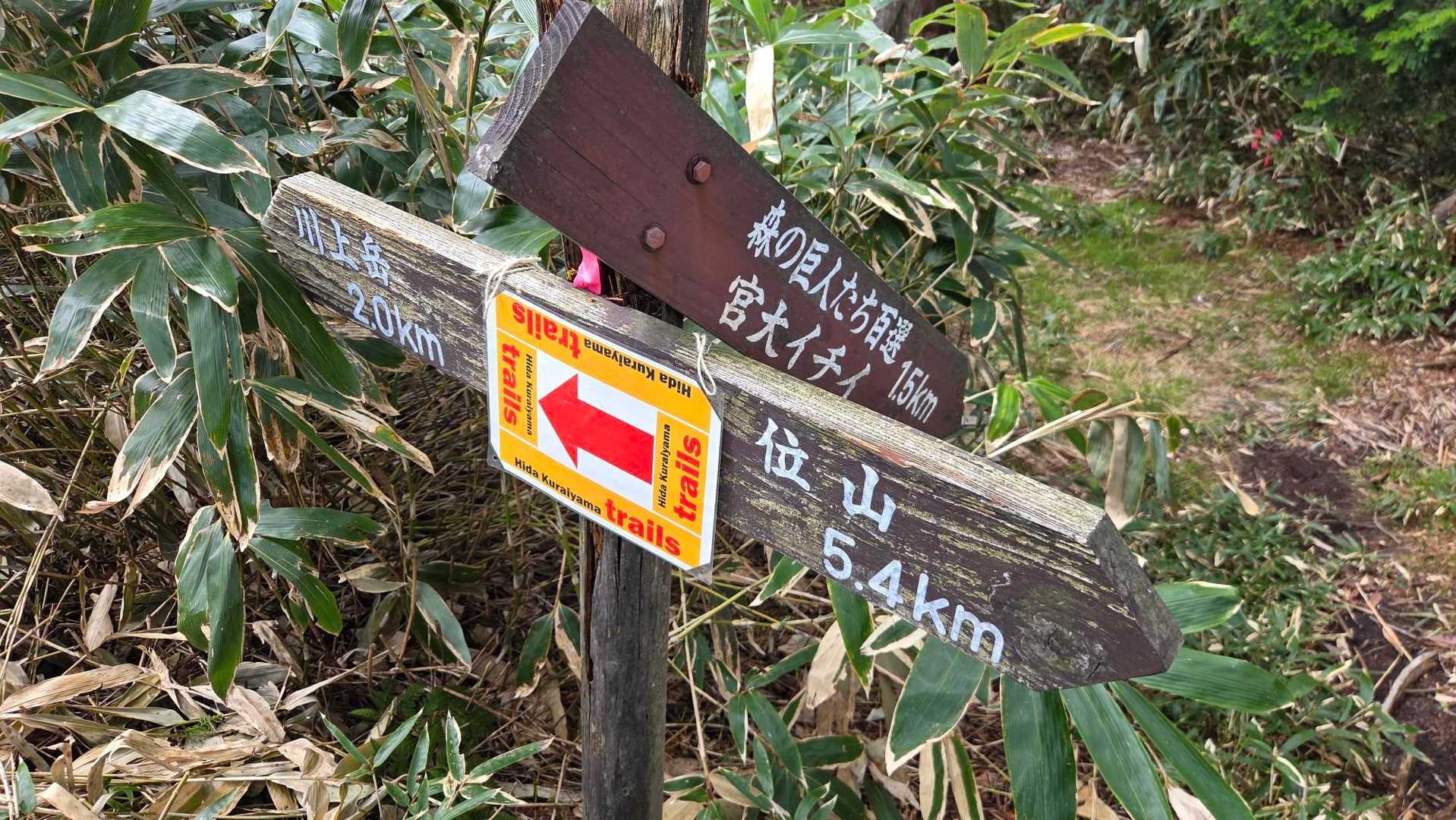 ドS隊長はこの宮大イチイ🌳を見に行ったけど、激下りだったらしく400m激下りして途中撤退‼️しっかりトレーニングできたって🤣