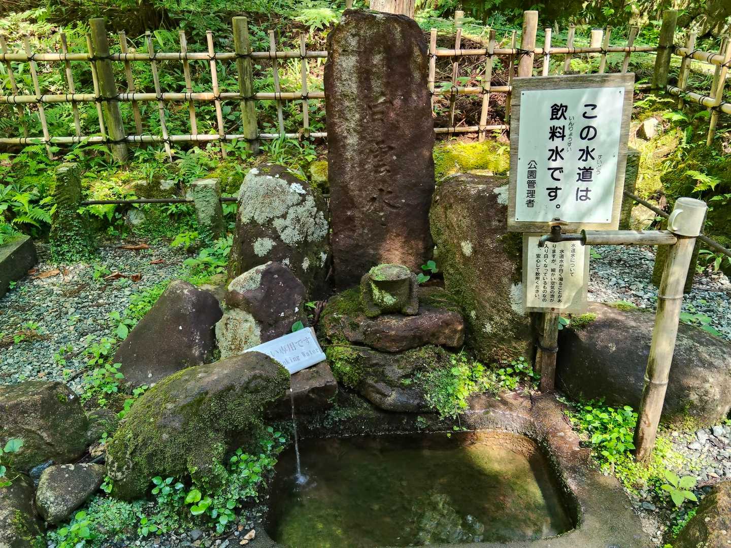 城山 往復コースの写真