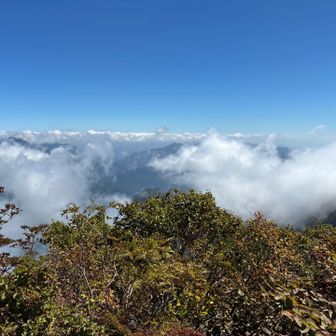 東赤石山方面