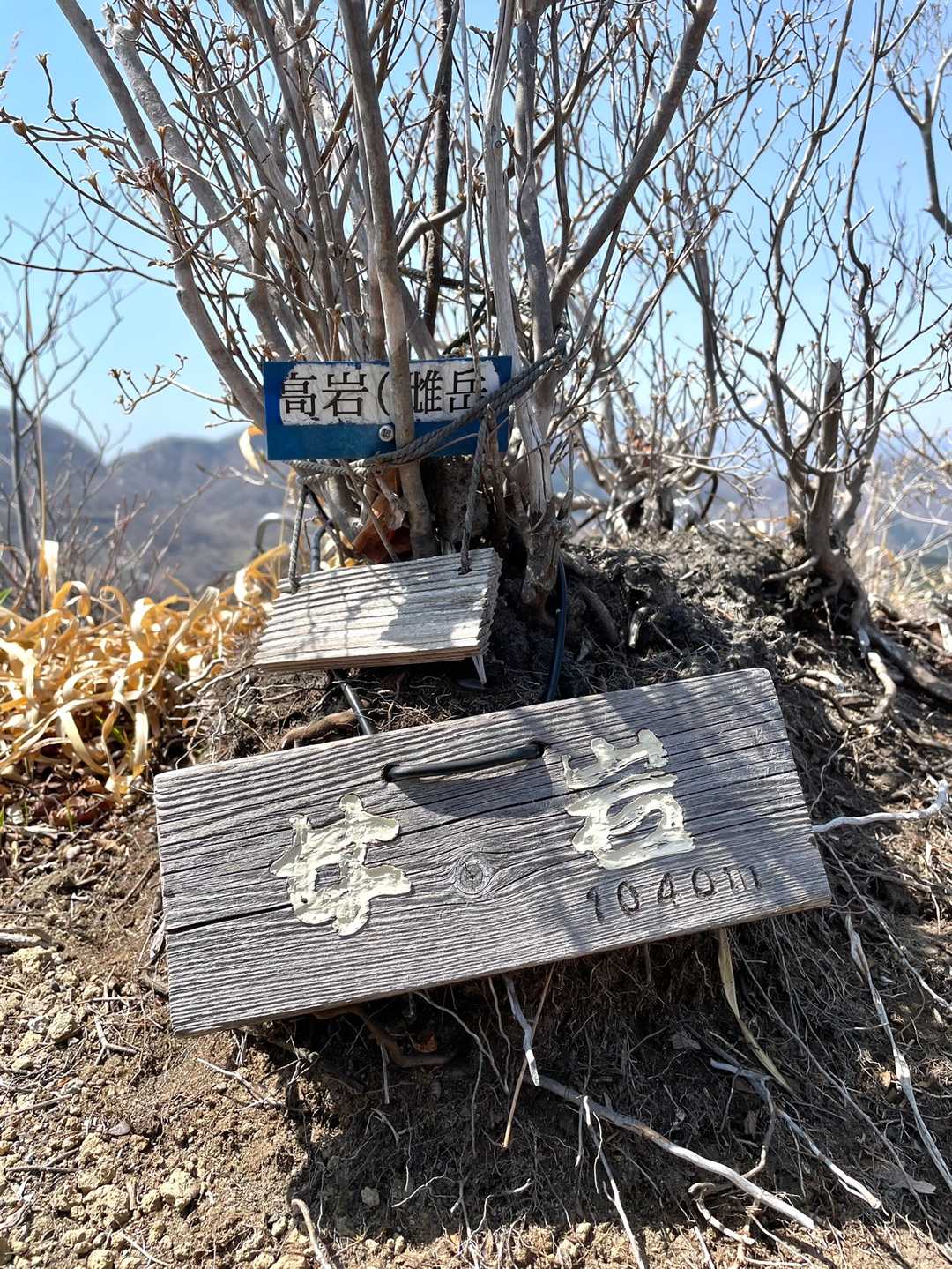 控え目な看板