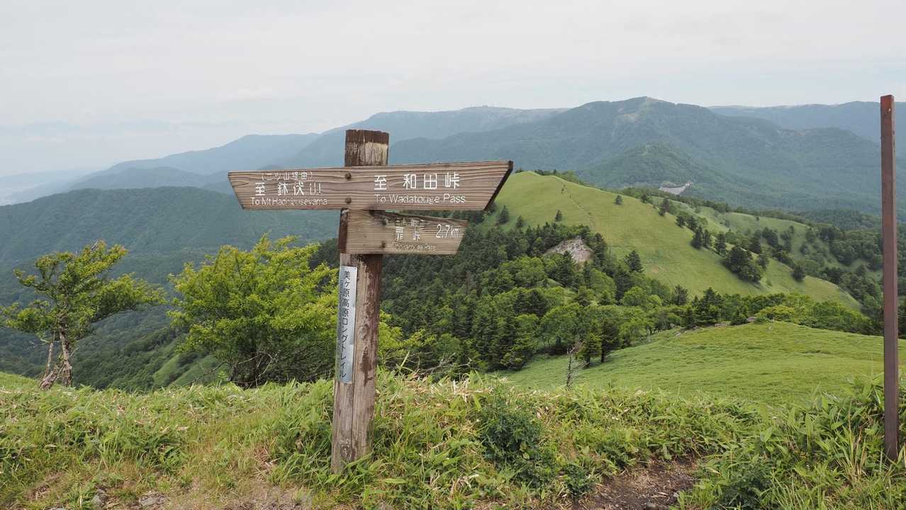 中央分水嶺トレイル（長門牧場〜白樺湖〜八島湿原〜三峰山〜美ヶ原）、2daysスルーハイク の写真 41