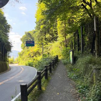 大垂水峠到着、

※12番目のピーク松枝峰は、いつの間にか通り過ぎていた。

ここから小仏城山へ向けて↗️GO💪