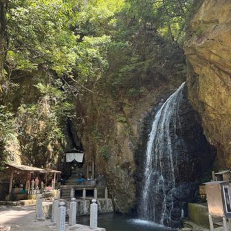 荘厳🏞️