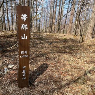 10分くらい歩くと奥帯那山があります
撮影だけして帯那山へ戻ります
空腹すぎてラーメンで頭がいっぱいです