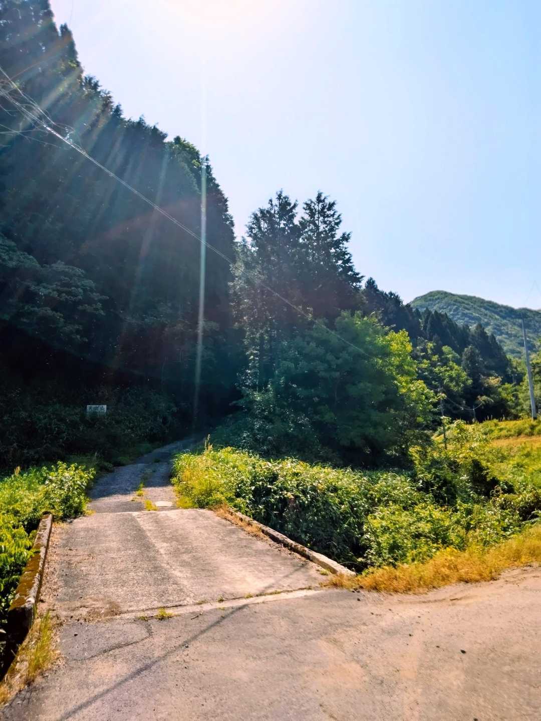 途中この橋を渡り登山口方向に進む🐾✨