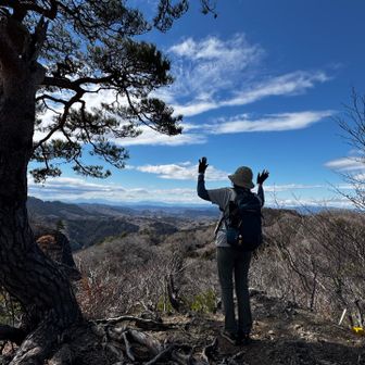 バンザイ🙌
haruruさん