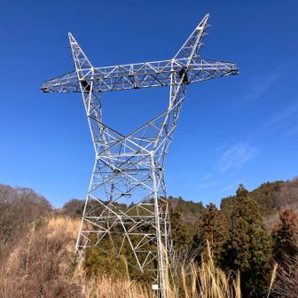 牛🐮型鉄塔😳。