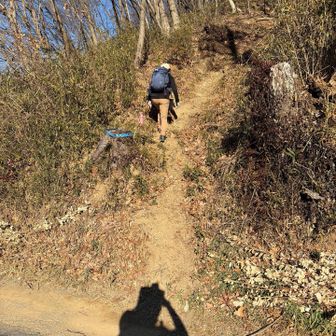 こんなところを登るらしく、見落としがちなところでも「オメー！ここだよ💢」と案内してます