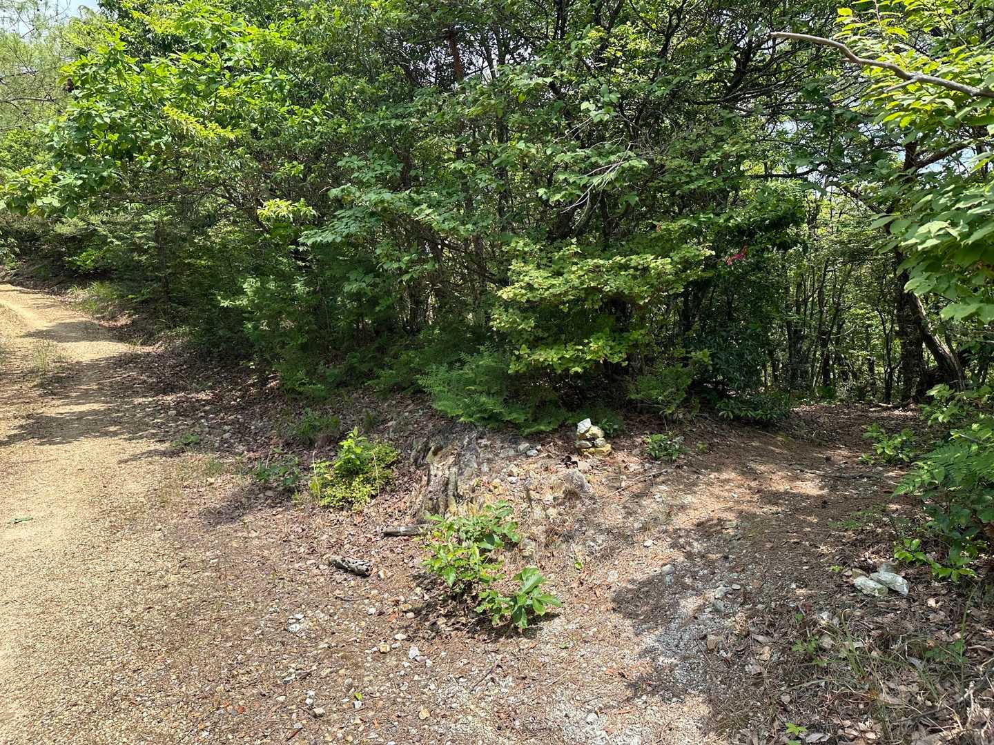 この分岐辺りで道に迷いました．．．