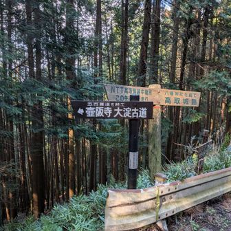 走る。速い。昨日北アルプス行ってて朝2時に帰ってきた人に思えない🤣
ハンデにならんのね…💀