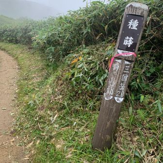 種蒔