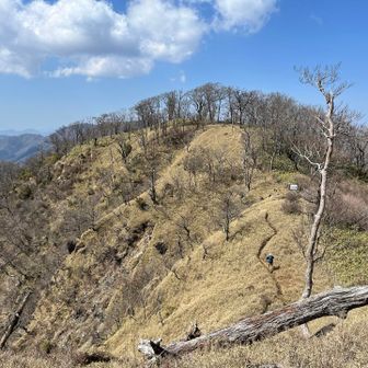 大笄小笄（おおこうげここうげ）の稜線、広々としていいですね。稜線歩きはピークが連続し、アップダウンが続きます
