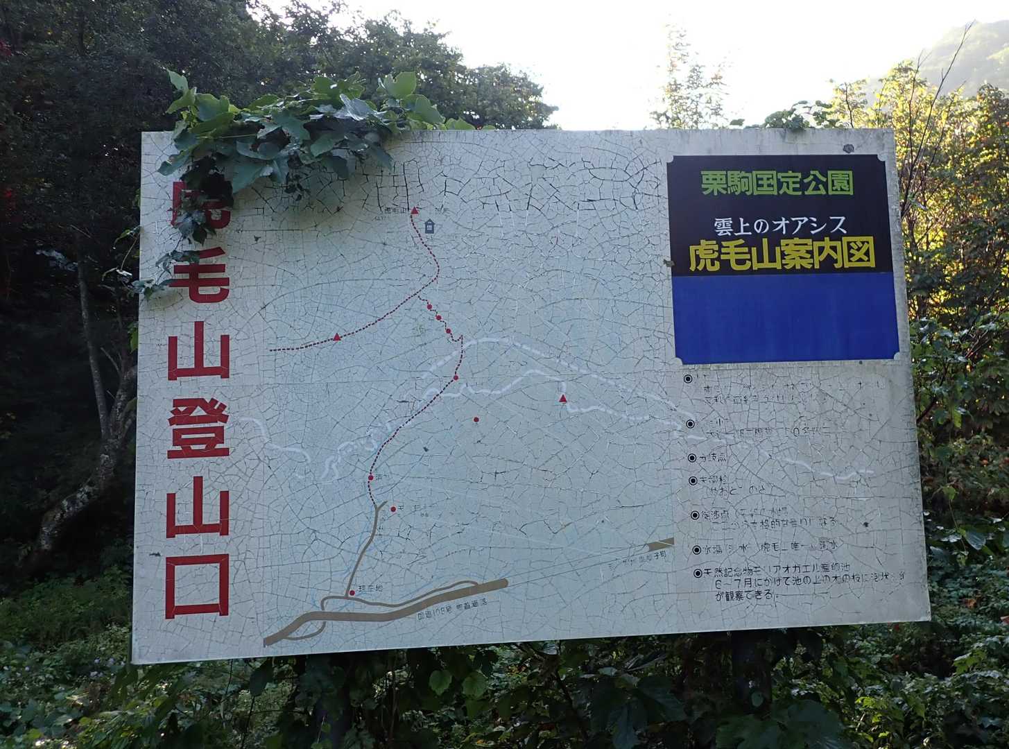 雲上のオアシス👍