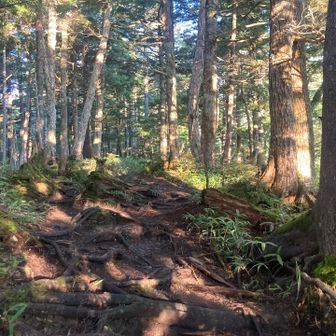 まずは噂の急騰を登ります
延々とつづく急騰に汗が吹き出します
