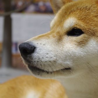 老人と瀬戸内海