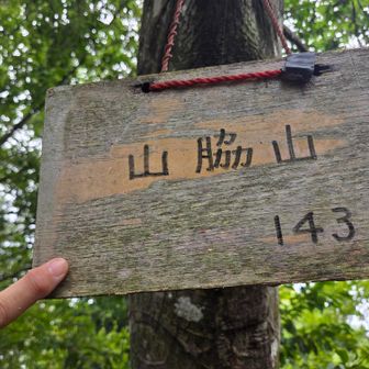 途中から、道が細くなり、草をかき分け、蜘蛛の巣と闘いながら、あっという間に到着。
山脇山⛰️GET🚩