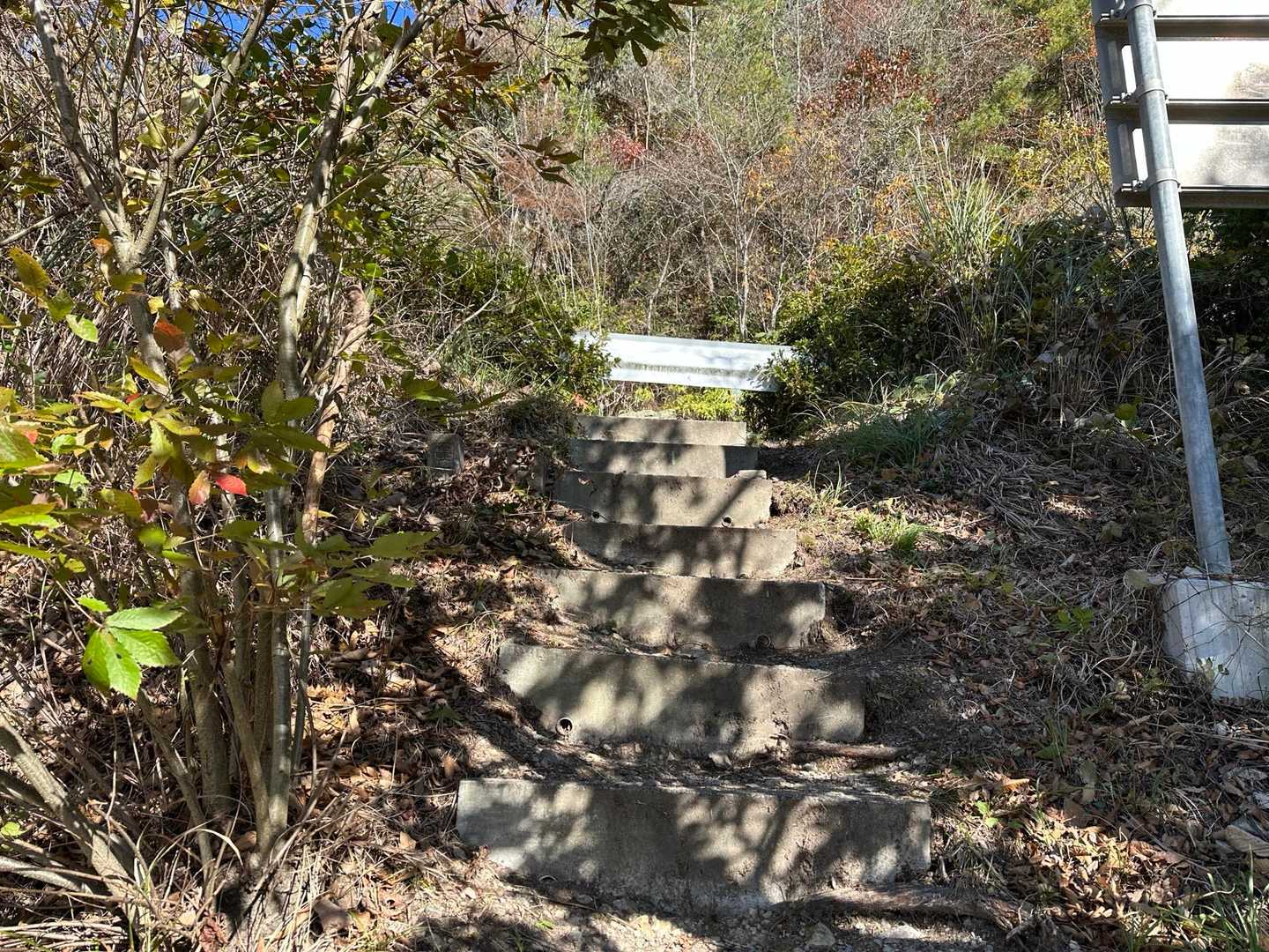 階段登ってガードレールを跨いで出ます。🤭