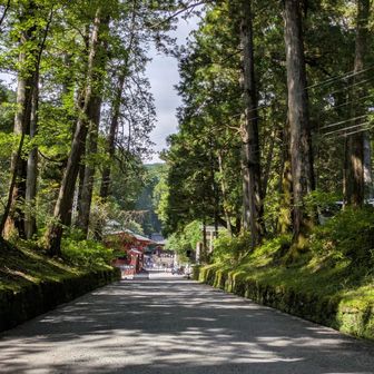 家光公の霊廟へ.