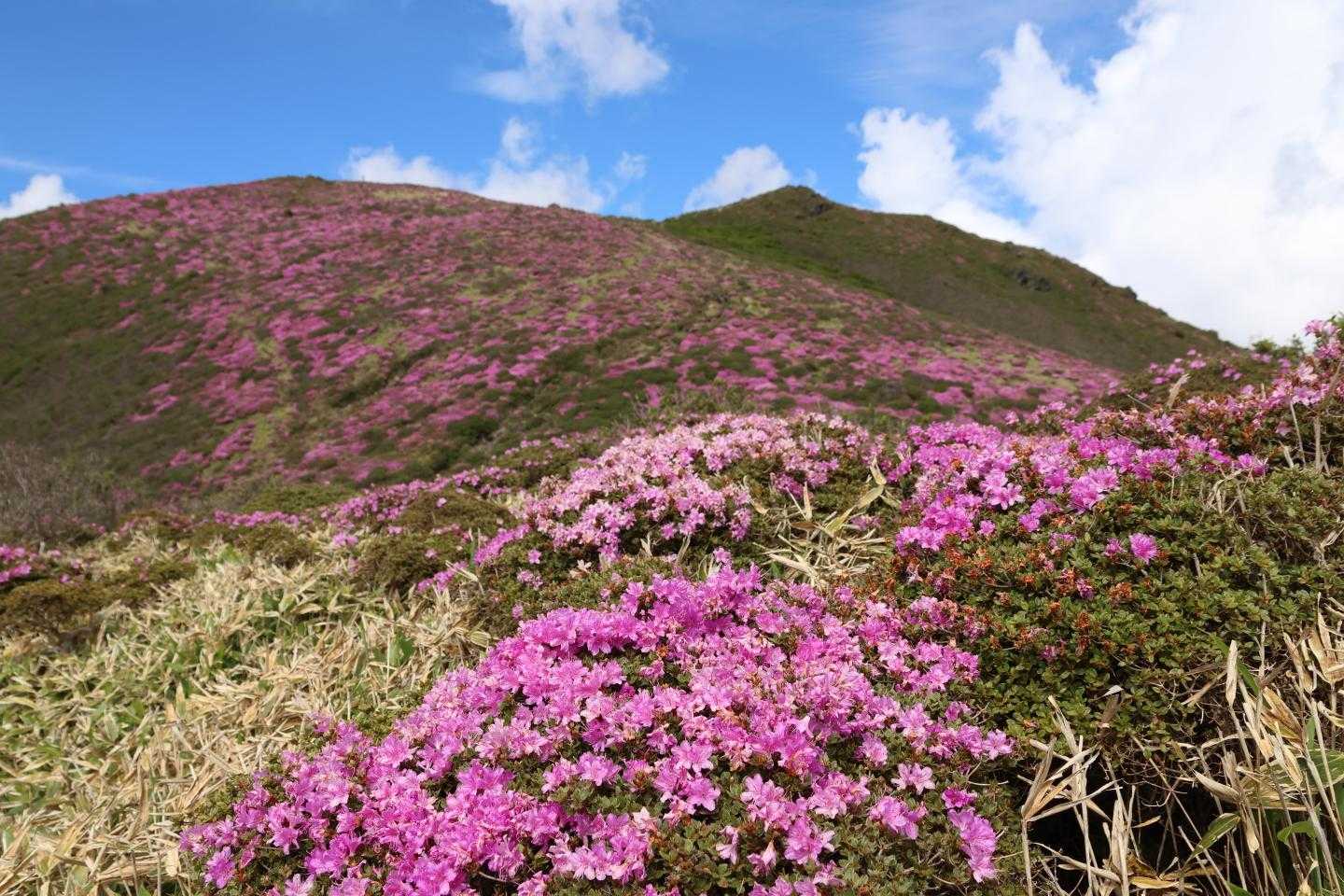 大曲登山口-諏蛾守越-三俣山 往復コースの写真