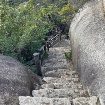紅葉谷コースで下山。