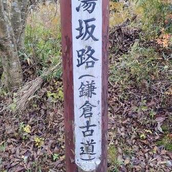 湯坂路はここで終わり