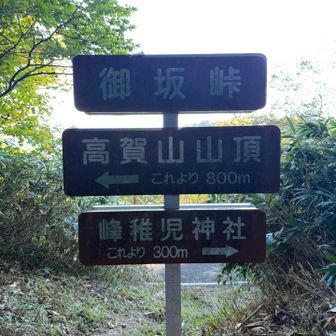 ここから眺望もあり 。
登山計画には入れてないですが、神社には下山時に寄ることにしました。