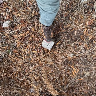 ここには三角点有り。

