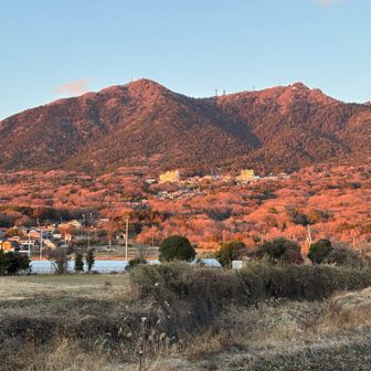 麓の木々がまるで紅葉のよう
筑波ゴールド✨
最後までホームを満喫できた♪