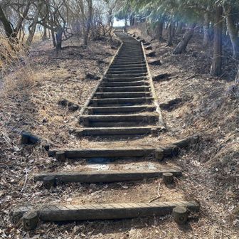 今日、何度目かの階段😵‍💫