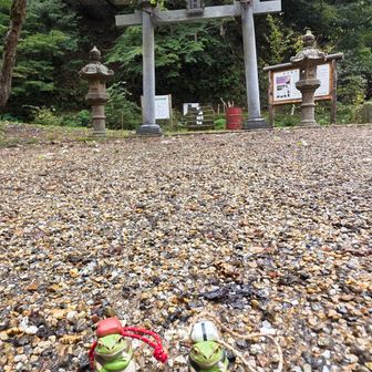 無事帰ってきたぶじと
大将も
楽しかったお礼を申しております