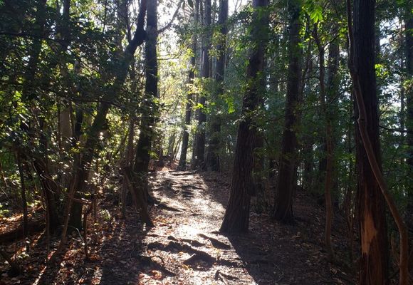 三草山・滝王山（竜王山）の登山ルート・コースタイム付き無料登山地図