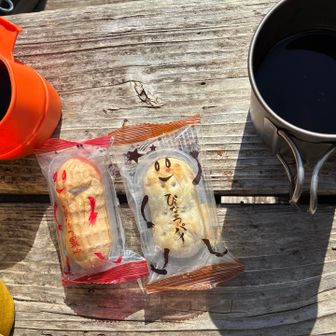 千葉土産のぴーなっつパイと最中